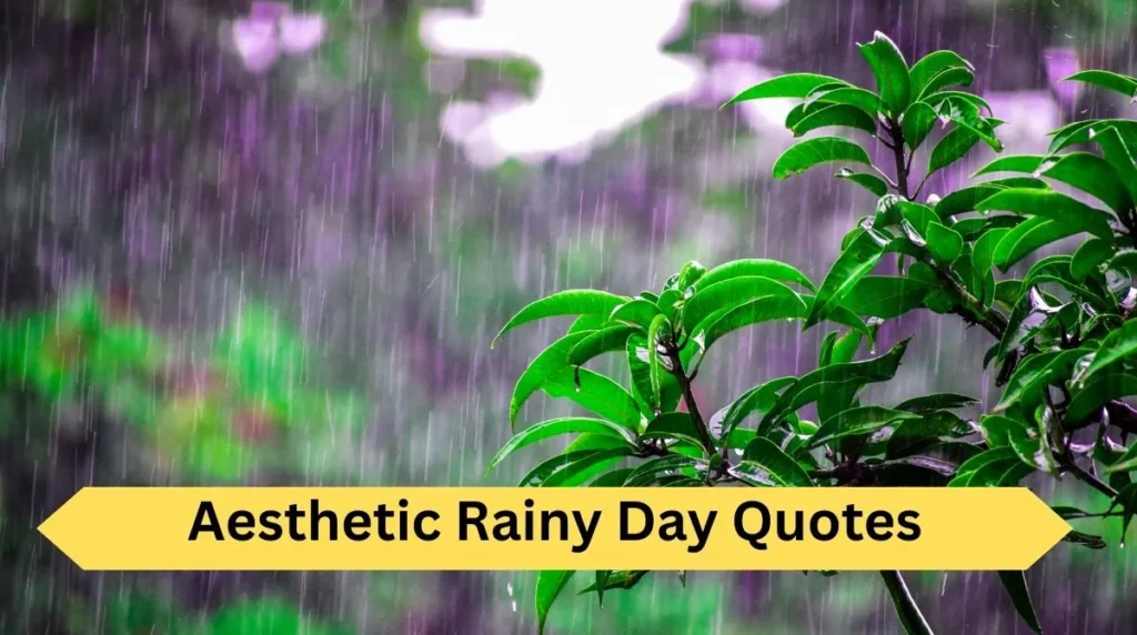 Aesthetic Rainy Day Quotes
