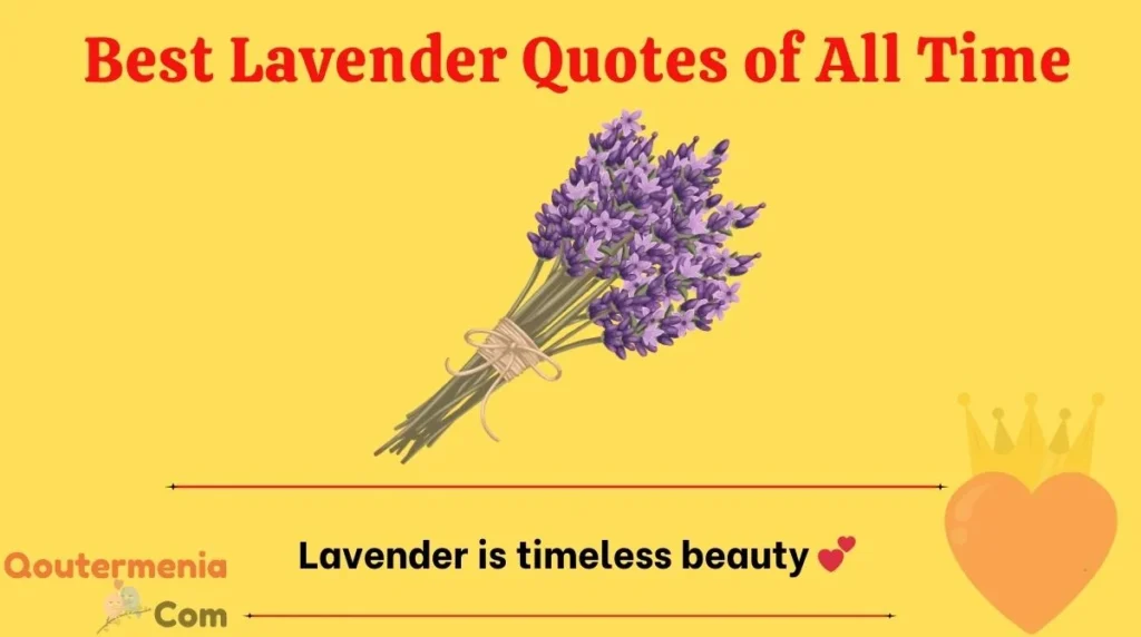 Best Lavender Quotes of All Time