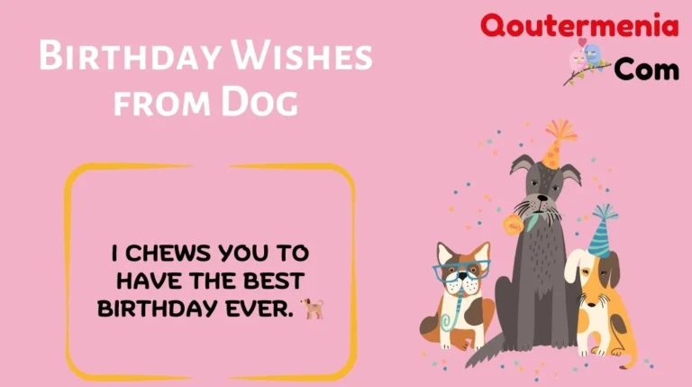 Birthday Wishes from Dog
