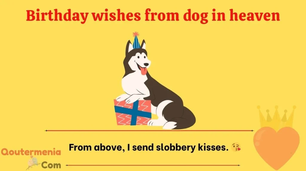 Birthday wishes from dog in heaven