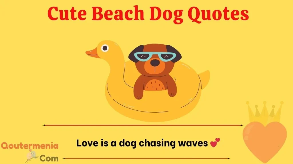 Cute Beach Dog Quotes