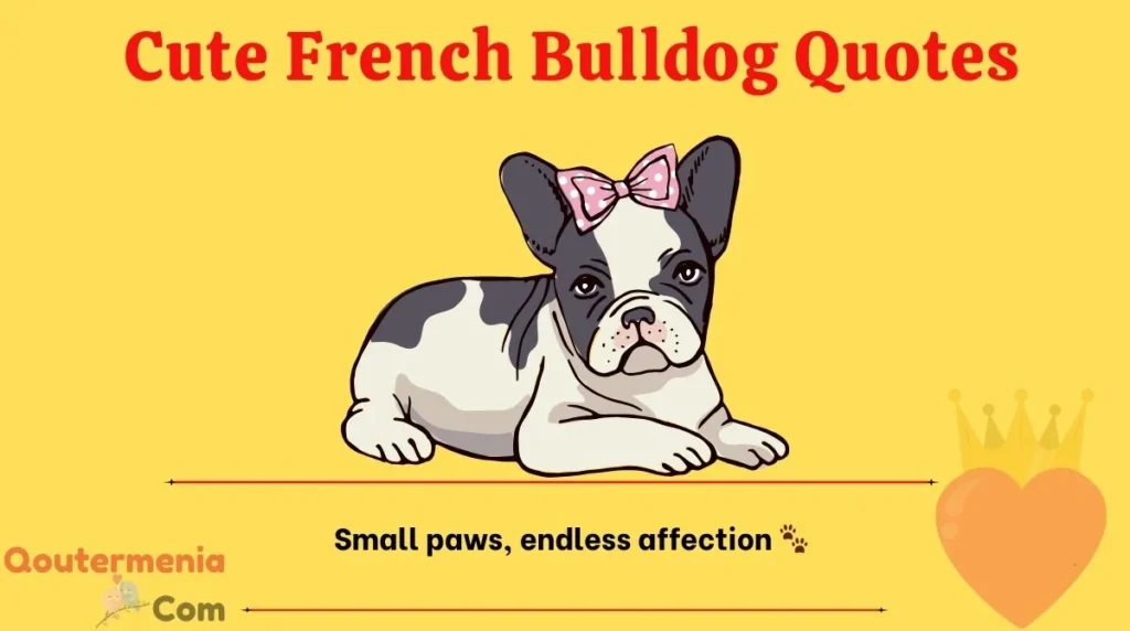 Cute French Bulldog Quotes