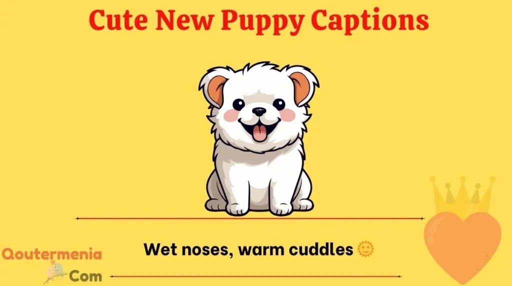 Cute New Puppy Captions