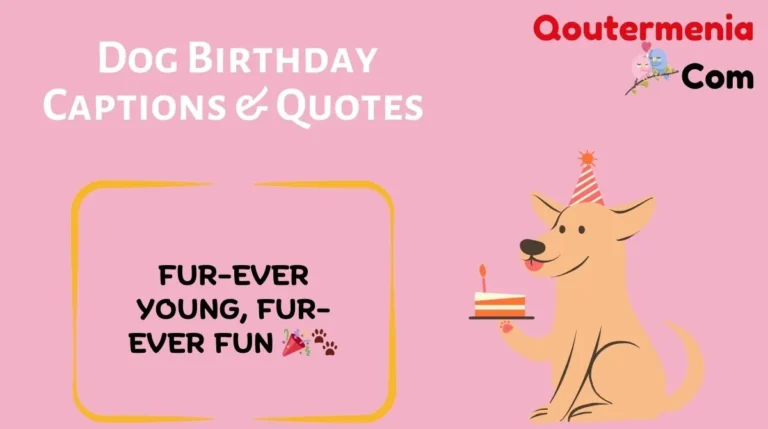 Dog Birthday Captions & Quotes