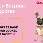 French Bulldog Quotes