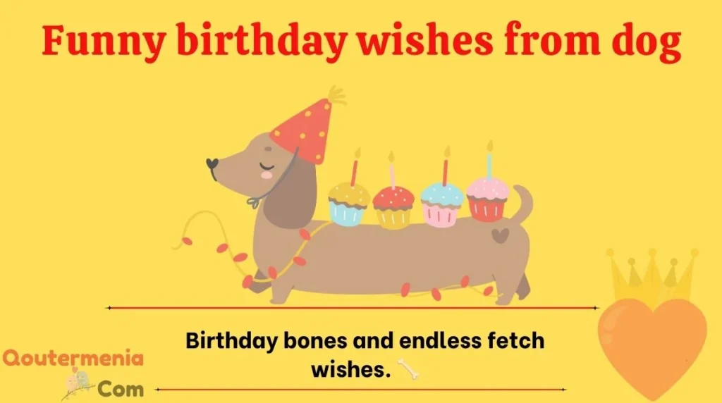 Funny birthday wishes from dog