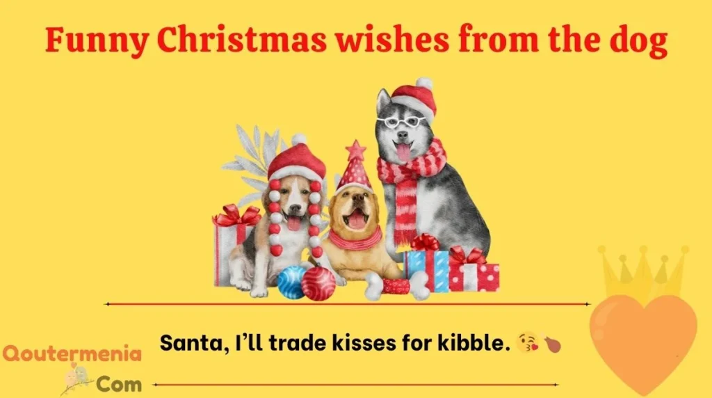 Funny Christmas wishes from the dog
