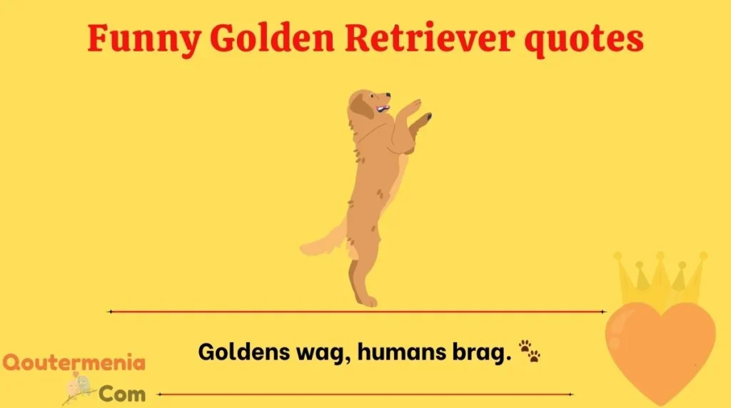 Funny Golden Retriever quotes