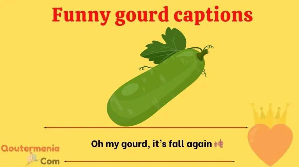 Funny gourd captions