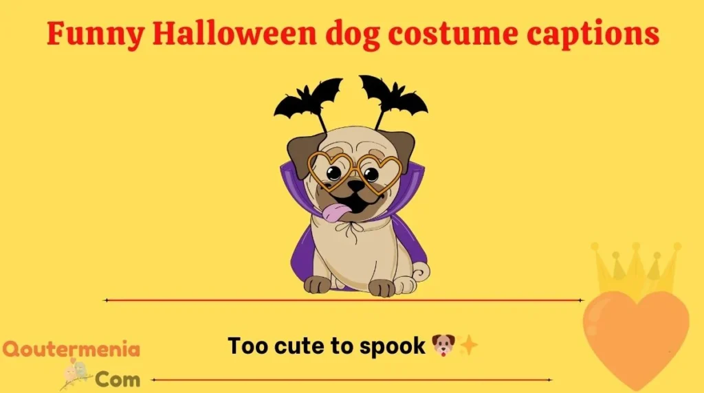 Funny Halloween dog costume captions