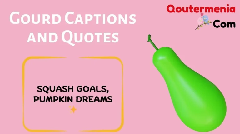 Gourd Captions and Quotes