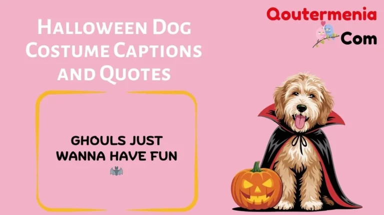 Halloween Dog Costume Captions and Quotes