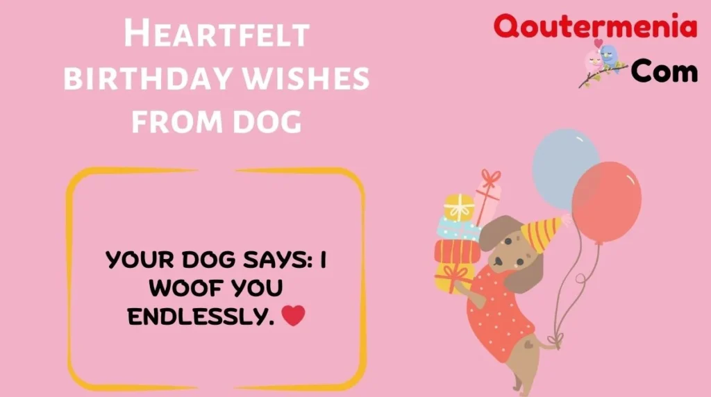 Heartfelt birthday wishes from dog