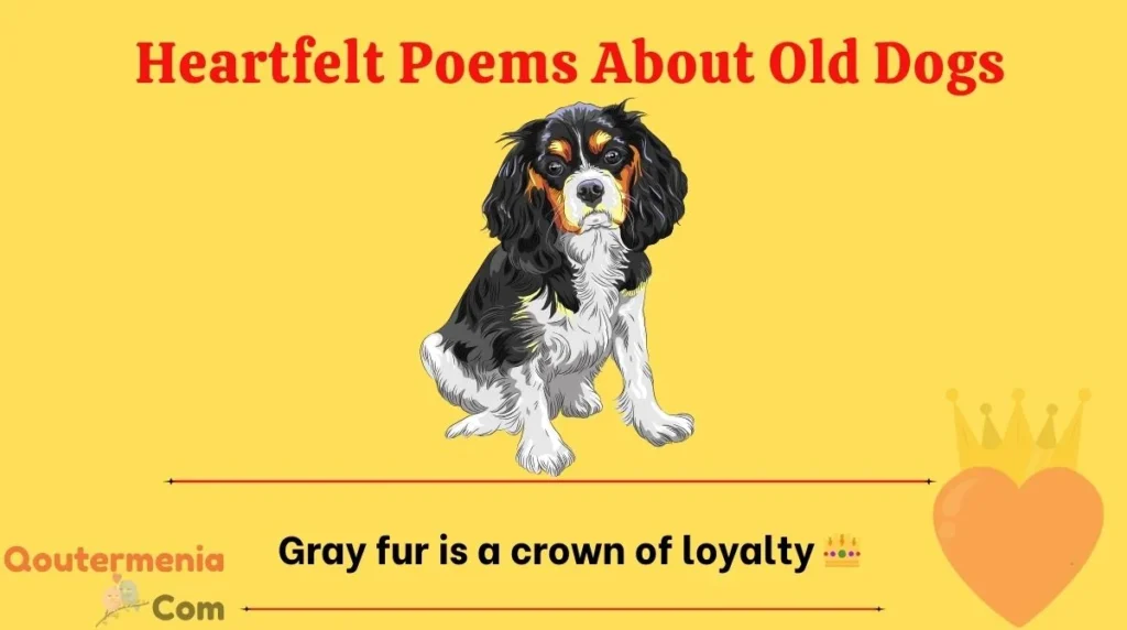 Heartfelt Poems About Old Dogs