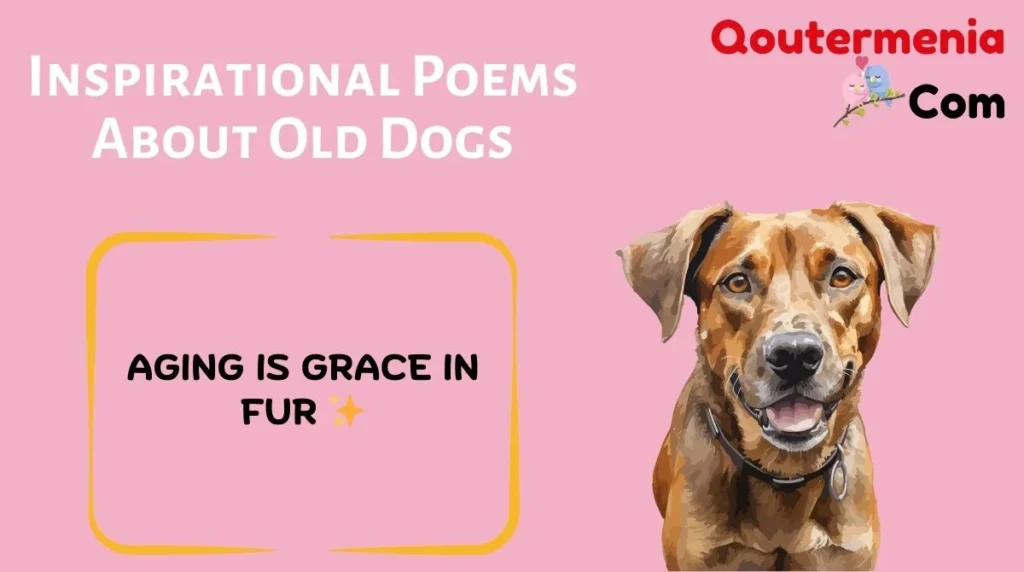 Inspirational Poems About Old Dogs