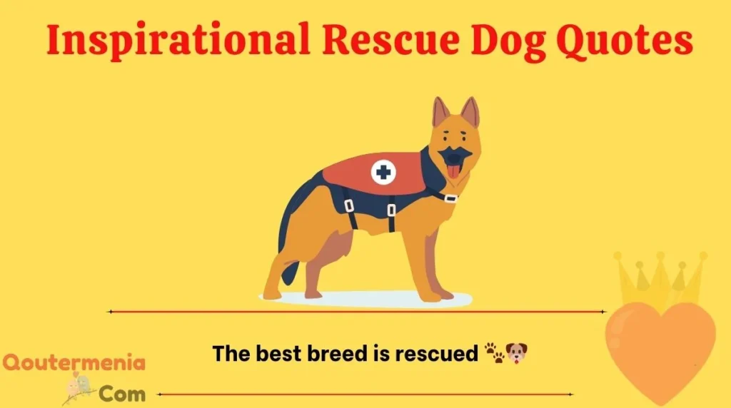 Inspirational Rescue Dog Quotes