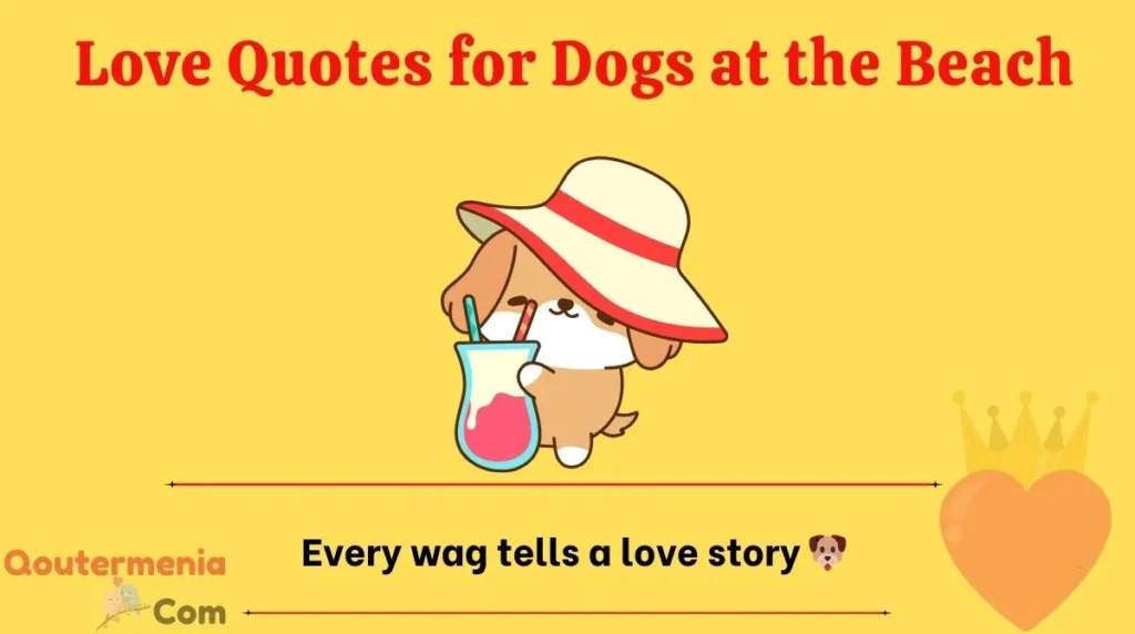 Love Quotes for Dogs at the Beach