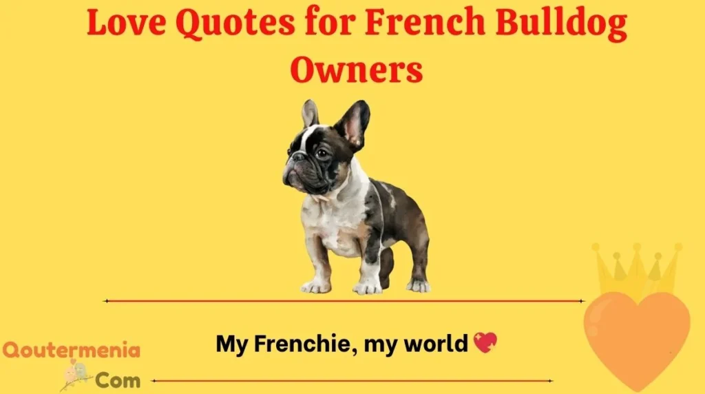 Love Quotes for French Bulldog Owners