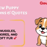 New Puppy Captions & Quotes