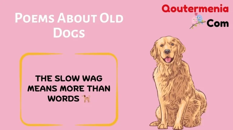 Poems About Old Dogs