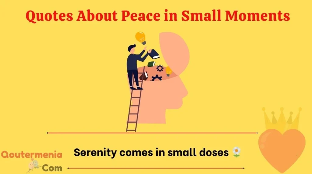 Quotes About Peace in Small Moments