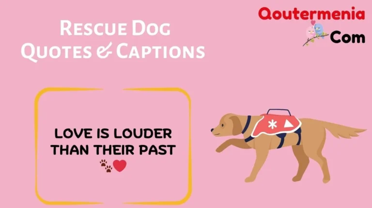 Rescue Dog Quotes & Captions