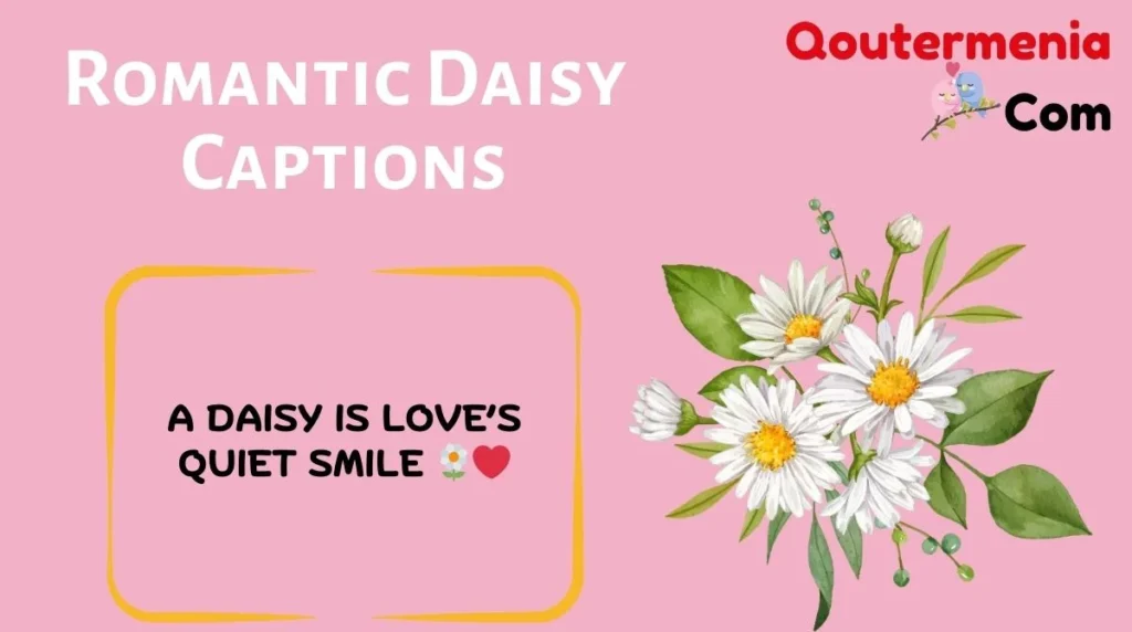 Romantic Daisy Captions