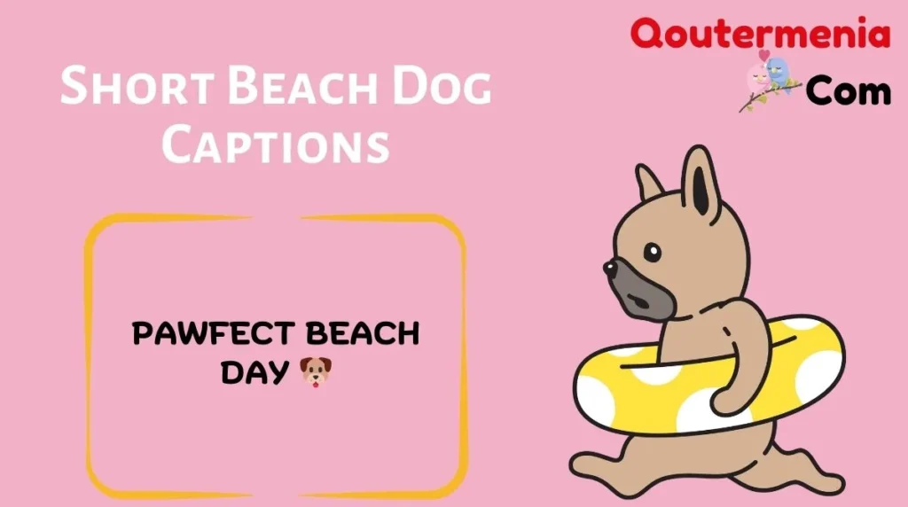 Short Beach Dog Captions
