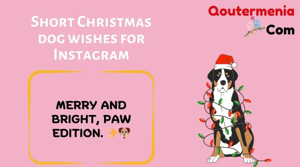 Short Christmas dog wishes for Instagram