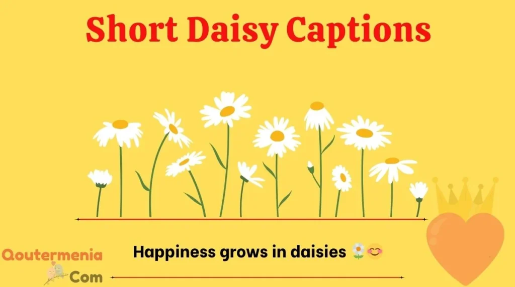 Short Daisy Captions