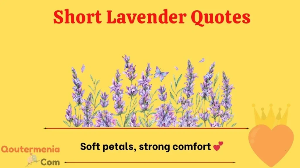Short Lavender Quotes