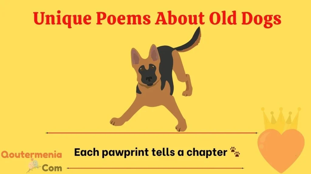 Unique Poems About Old Dogs
