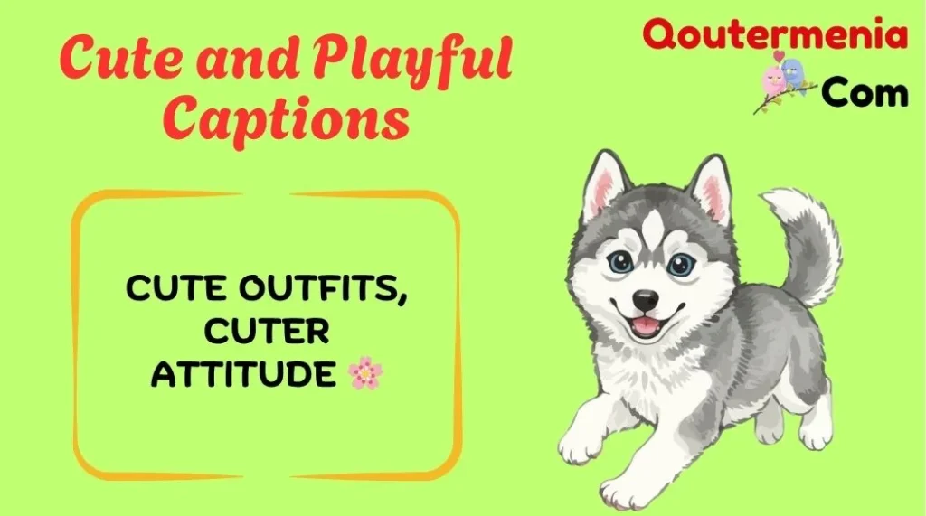 Cute and Playful Captions
