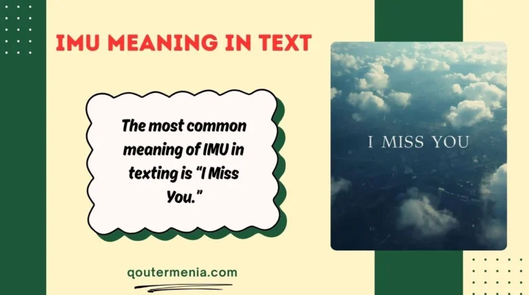 IMU Meaning in Text