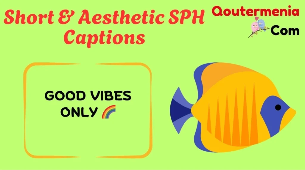 Short & Aesthetic SPH Captions