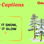 Snow Captions